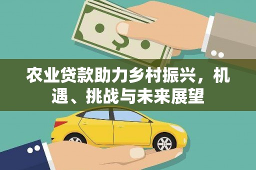 高阳农业贷款助力乡村振兴，机遇、挑战与未来展望