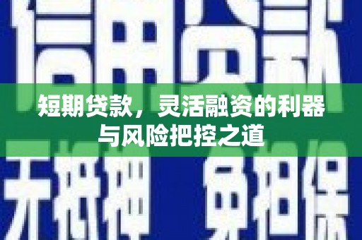 高阳短期贷款，灵活融资的利器与风险把控之道