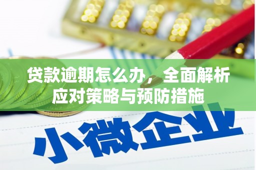 高阳贷款逾期怎么办，全面解析应对策略与预防措施