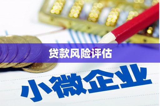 高阳贷款风险评估