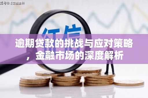 高阳逾期贷款的挑战与应对策略，金融市场的深度解析