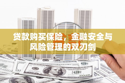 高阳贷款购买保险，金融安全与风险管理的双刃剑