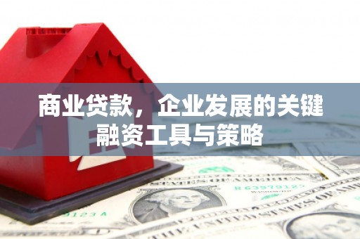 高阳商业贷款，企业发展的关键融资工具与策略