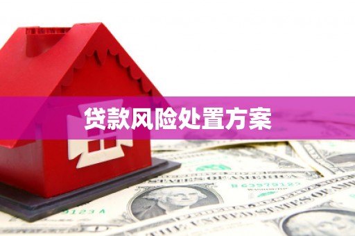 高阳贷款风险处置方案