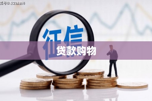 高阳贷款购物