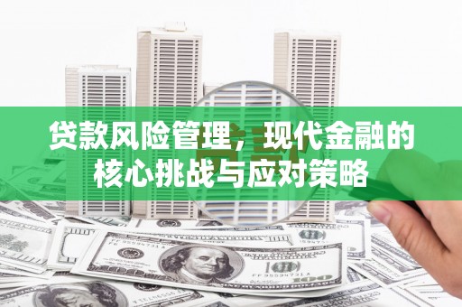 高阳贷款风险管理，现代金融的核心挑战与应对策略