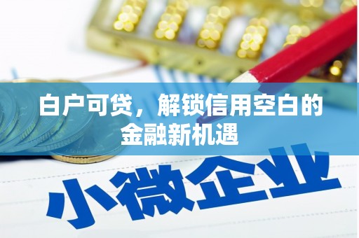 高阳白户可贷，解锁信用空白的金融新机遇