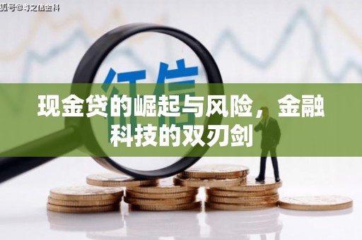 高阳现金贷的崛起与风险，金融科技的双刃剑