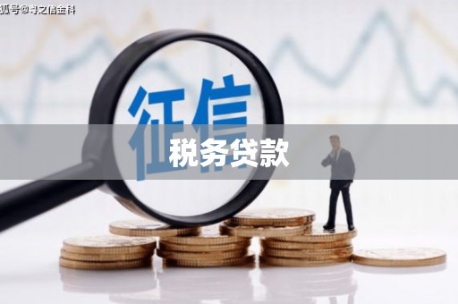 高阳税务贷款