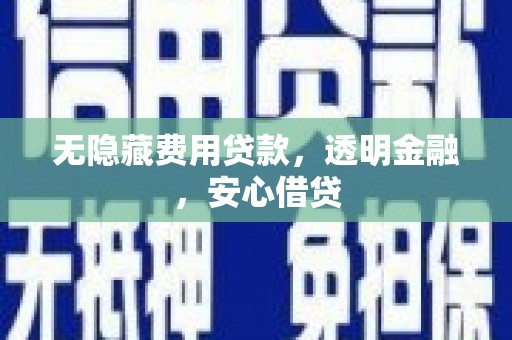高阳无隐藏费用贷款，透明金融，安心借贷
