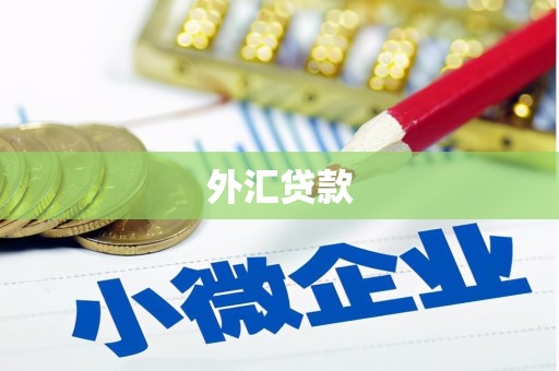 高阳外汇贷款
