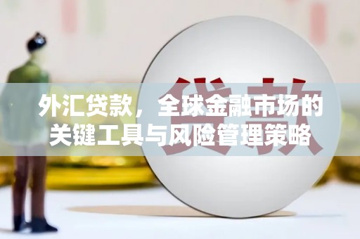高阳外汇贷款，全球金融市场的关键工具与风险管理策略