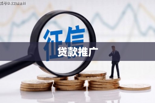高阳贷款推广