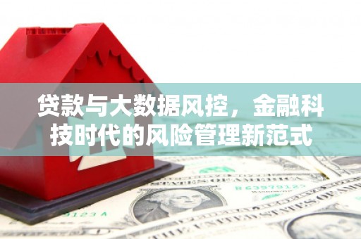 高阳贷款与大数据风控，金融科技时代的风险管理新范式