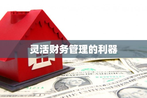 高阳灵活财务管理的利器