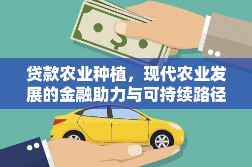高阳贷款农业种植，现代农业发展的金融助力与可持续路径