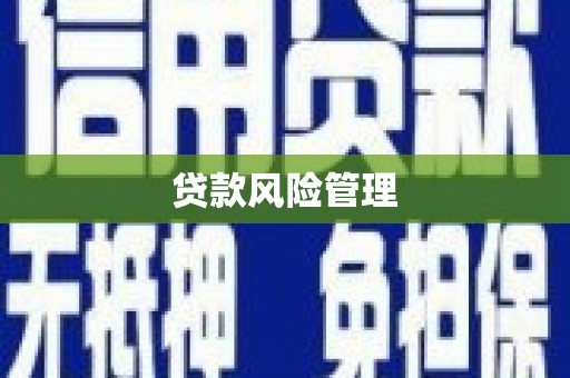 高阳贷款风险管理