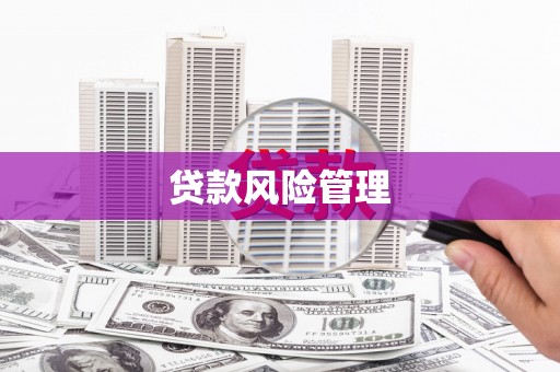 高阳贷款风险管理