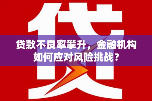高阳贷款不良率攀升，金融机构如何应对风险挑战？