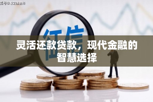 高阳灵活还款贷款，现代金融的智慧选择
