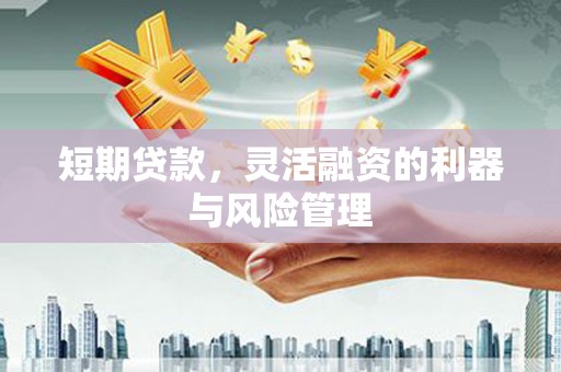高阳短期贷款，灵活融资的利器与风险管理