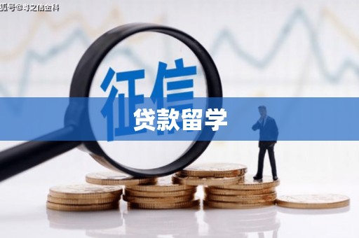 高阳贷款留学