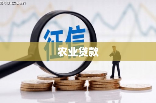 高阳农业贷款