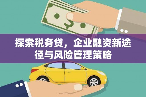 高阳探索税务贷，企业融资新途径与风险管理策略