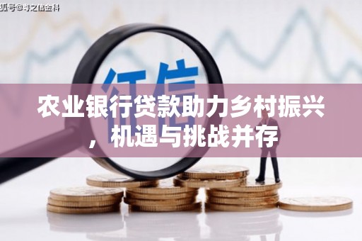 高阳农业银行贷款助力乡村振兴，机遇与挑战并存