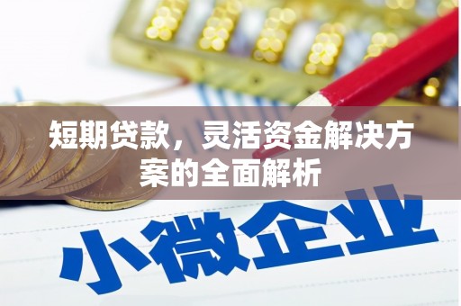 高阳短期贷款，灵活资金解决方案的全面解析