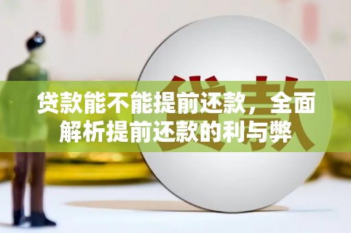 高阳贷款能不能提前还款，全面解析提前还款的利与弊