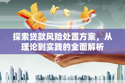高阳探索贷款风险处置方案，从理论到实践的全面解析