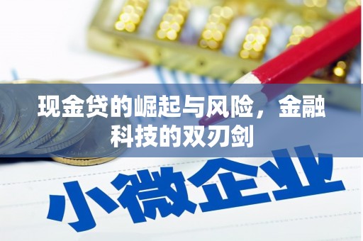 高阳现金贷的崛起与风险，金融科技的双刃剑