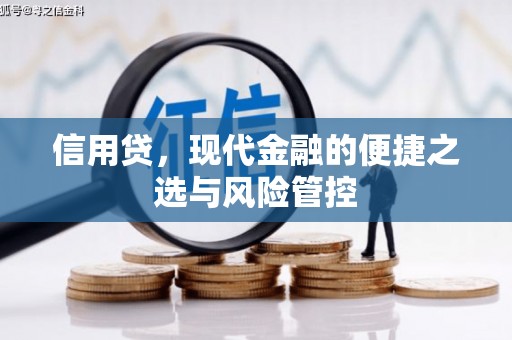 高阳信用贷，现代金融的便捷之选与风险管控