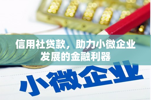 高阳信用社贷款，助力小微企业发展的金融利器