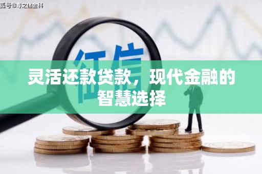 高阳灵活还款贷款，现代金融的智慧选择