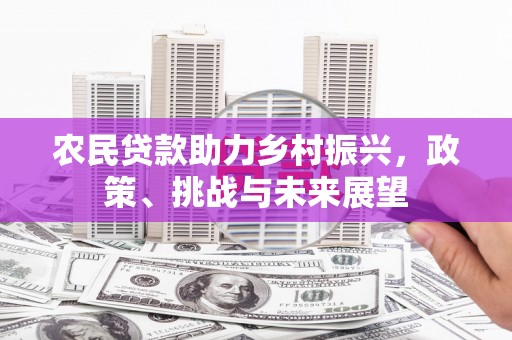 高阳农民贷款助力乡村振兴，政策、挑战与未来展望