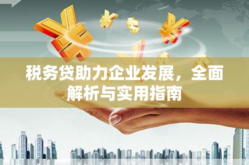 高阳税务贷助力企业发展，全面解析与实用指南