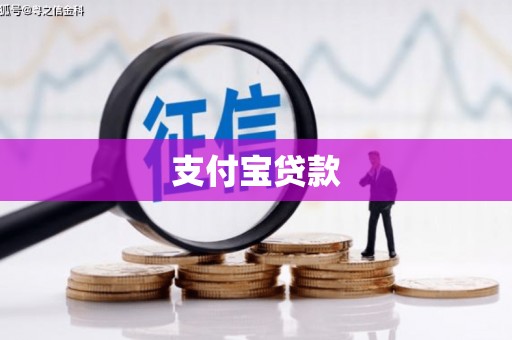 高阳支付宝贷款
