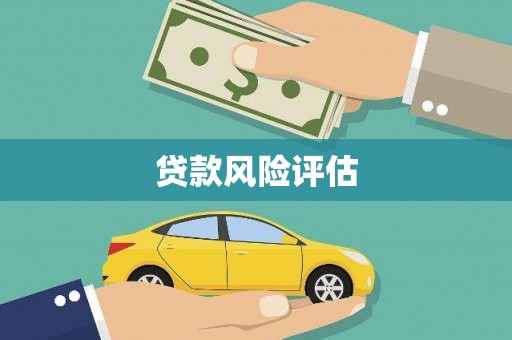高阳贷款风险评估