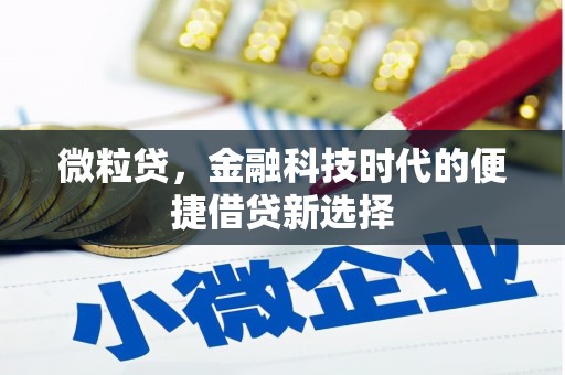 高阳微粒贷，金融科技时代的便捷借贷新选择