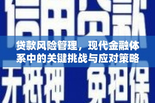 高阳贷款风险管理，现代金融体系中的关键挑战与应对策略