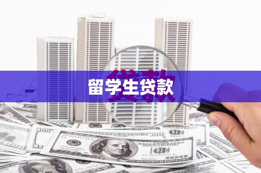高阳留学生贷款