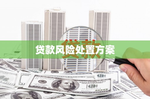 高阳贷款风险处置方案