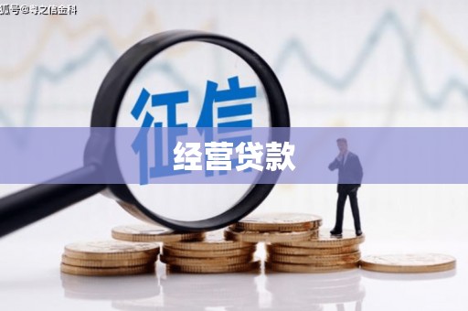 高阳经营贷款