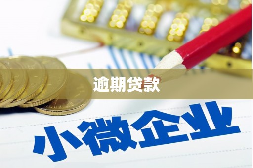高阳逾期贷款
