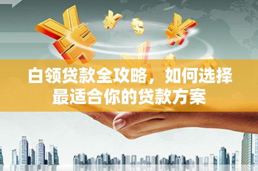 高阳白领贷款全攻略，如何选择最适合你的贷款方案